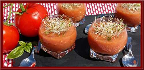 Soupe de Tomates, Basilic, ail et vinaigre balsamique