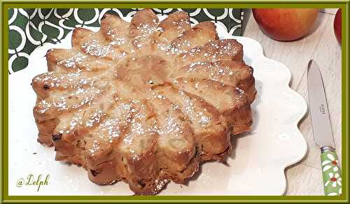 Gâteau au yaourt aux pommes et à la rhubarbe