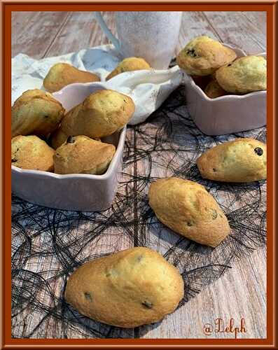 Madeleines aux pépites de chocolat