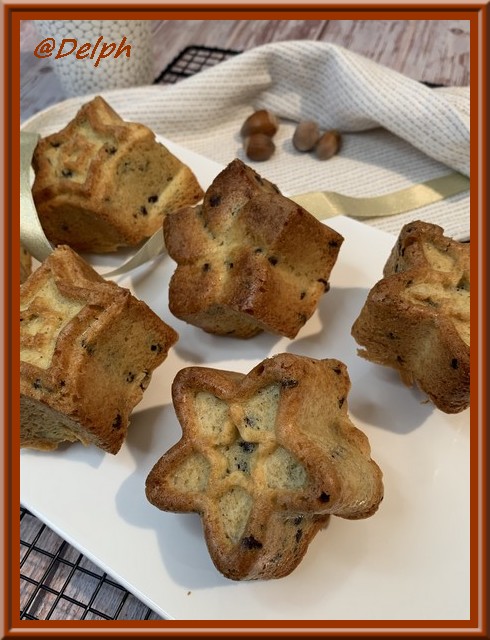 Petits gâteaux chocolat noisettes