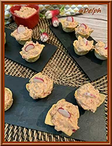 Tartinade de thon aux radis et fromage frais