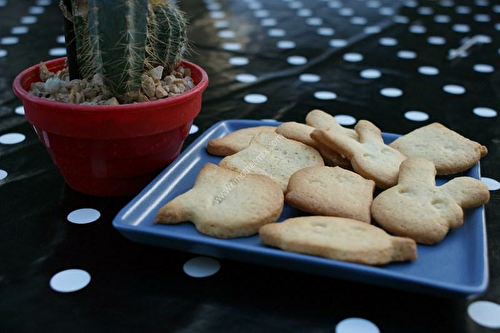 Petits sablés au thermomix, préparés en 3 minutes.