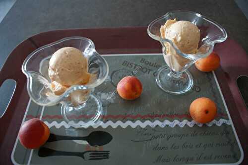 Sorbet abricot au thermomix, préparé en 5 minutes.