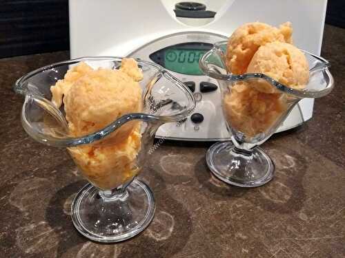 Sorbet melon au thermomix, préparé en 5 minutes.