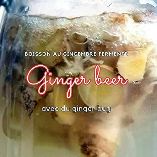 Ginger beer maison 100% nature