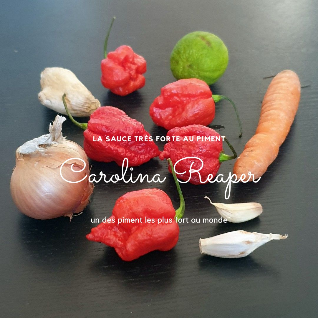 Sauce très piquante aux piments Carolina Reaper