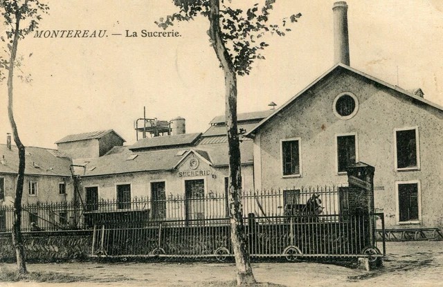 De la betterave au sucre : La sucrerie de Montereau