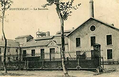 De la betterave au sucre : La sucrerie de Montereau