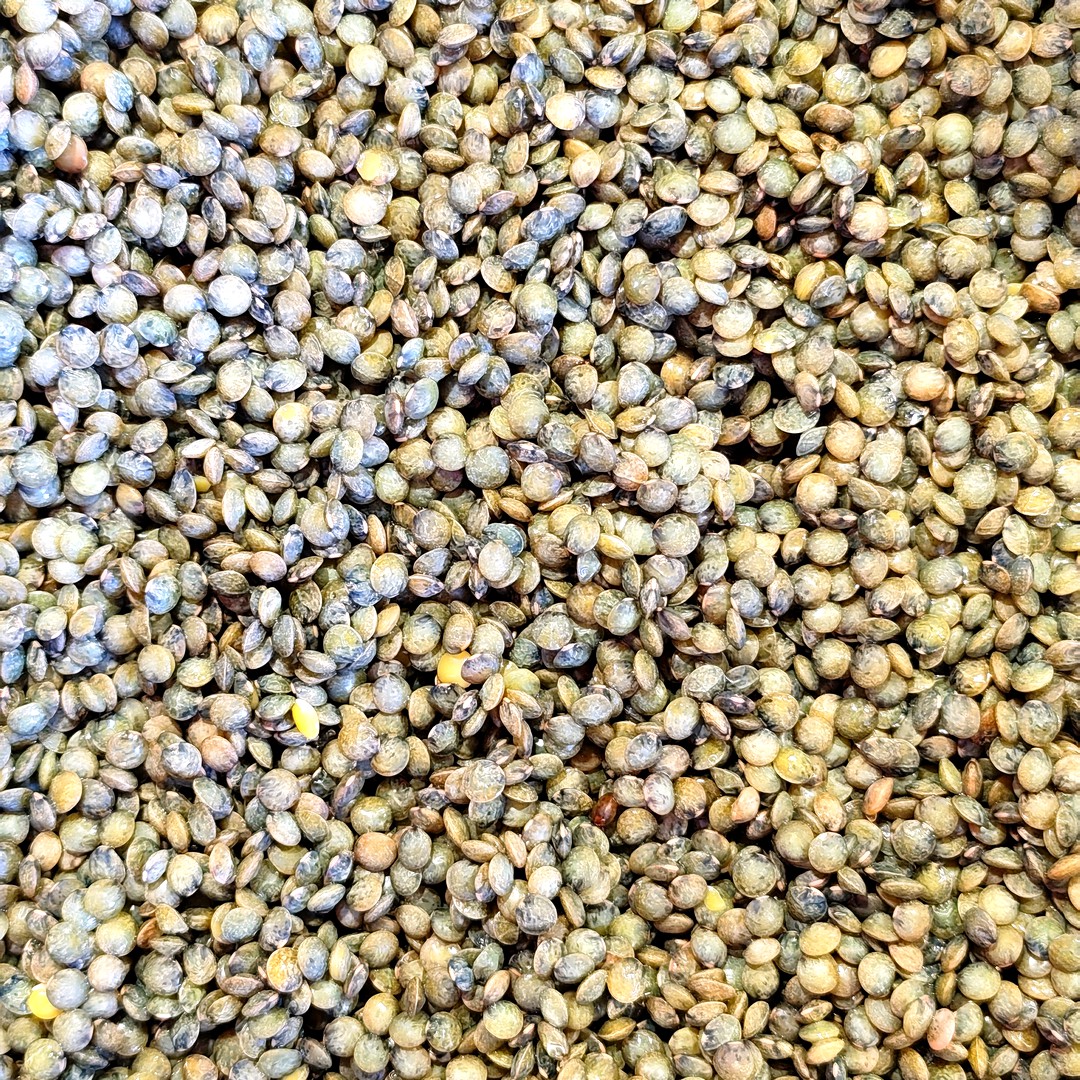 Les lentilles vertes de la Brie