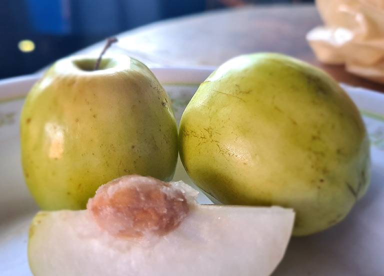 Découvrez les délices du Jujube en Thaïlande