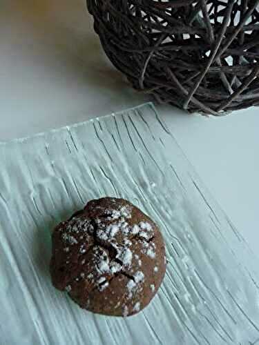Biscuits double chocolat