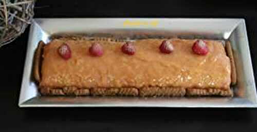 Bûche de Noël bavaroise framboises chocolat blanc au thermomix ou sans