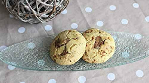 Cookies au praliné et au pralin au thermomix ou sans