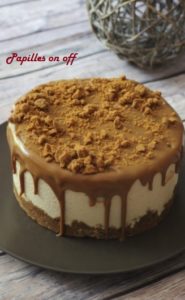 Entremets 100% spéculoos au thermomix ou sans