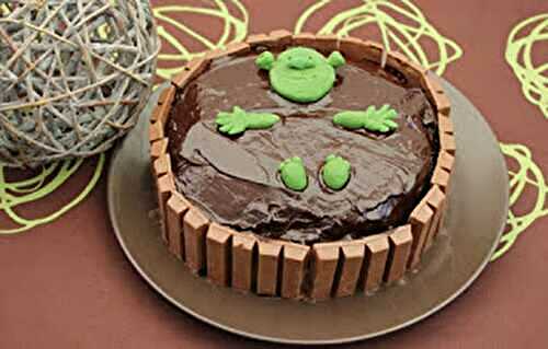 Gâteau bain de boue de Shrek, gâteau chocolat, nappage chocolat au thermomix ou sans – Sweet Table Shrek