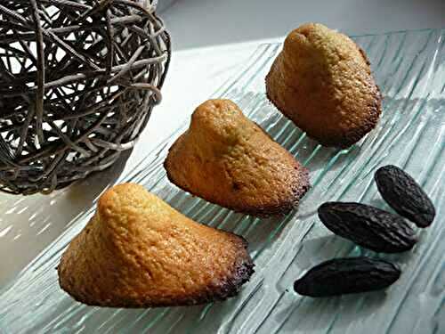 Madeleines à la fève tonka