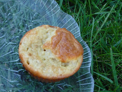 Muffins aromatisés (Dukan PP)