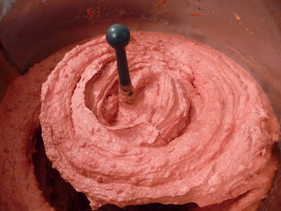 Sorbet aux framboises, au thermomix