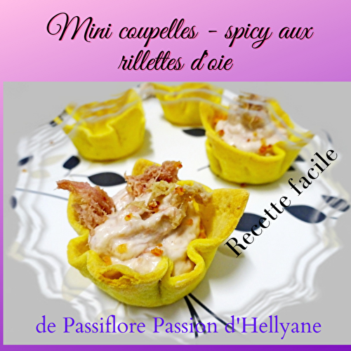 Mini coupelles - spicy aux rillettes d'oie