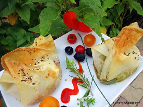 Aumônières à la viande, tomates séchées et à la tartinade