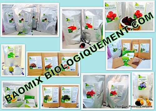 BAOMIX BIOLOGIQUEMENT COM et un récapitulatif de recettes avec leurs produits