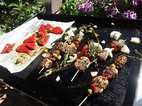 Brochettes de viande/ légumes "cuisson à la plancha à gaz"