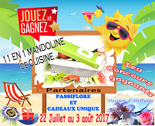 CONCOURS - 3 GAGNANTS 3 MANDOLINES 11 EN 1 avec "CADEAUXUNIQUE"