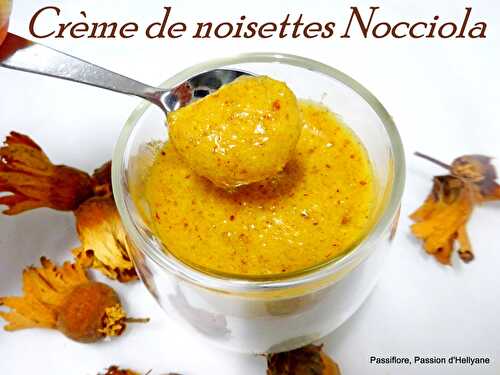 Crème de noisette, pralinée Nocciola