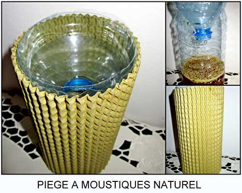 Piège à moustiques naturel