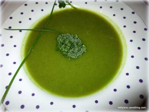 Recette Potage vert au ROBOT multifonction KLARSTEIN