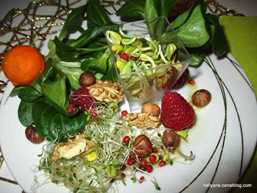 Salade aux graines germées et aux fruits