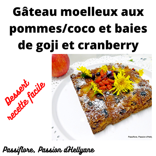 Recette facile du gâteau moelleux aux pommes, lait et crème de coco et baies de goji/cranberry et raisins secs