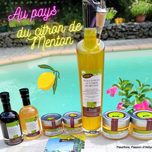 BIENVENUE AU PAYS DU CITRON DE MENTON