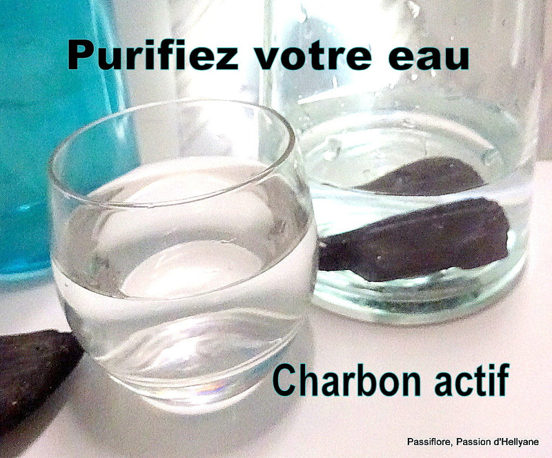 Pas cher - PURIFIEZ VOTRE EAU DE BOISSON - FILTRE A EAU EN CHARBON ACTIF - 