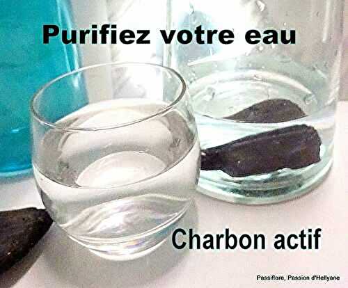 Pas cher - PURIFIEZ VOTRE EAU DE BOISSON - FILTRE A EAU EN CHARBON ACTIF - 