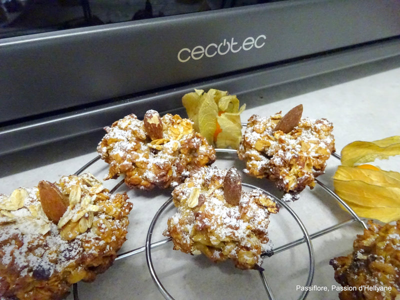 COOKIES HEALTHY savoureux
