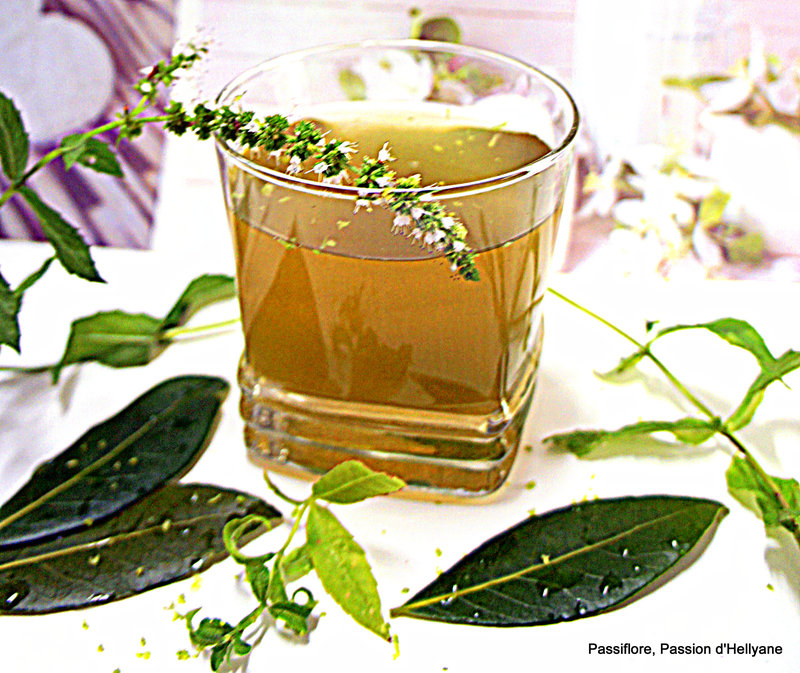 Bienfaits de la verveine, de la menthe, du laurier, de la chlorella et du miel