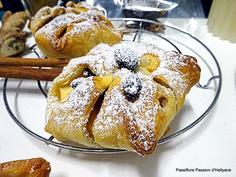 Chaussons aux pommes raisins secs cranberries