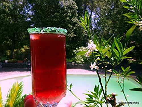 Thé glacé aux fruits / fleurs d'hibiscus et à la  sève de bouleau lactofermentée 