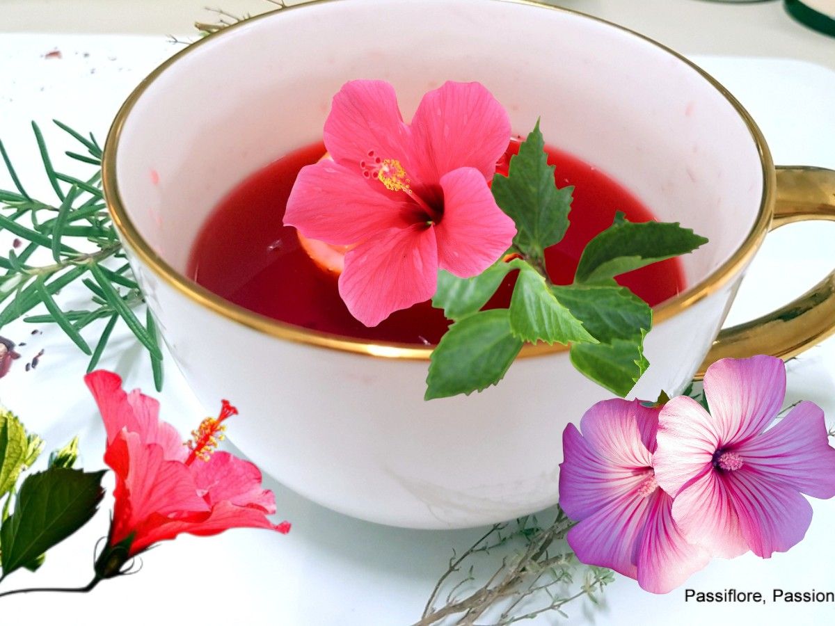 Infusion chaude fleurs d'hibiscus / romarin / thym / citron