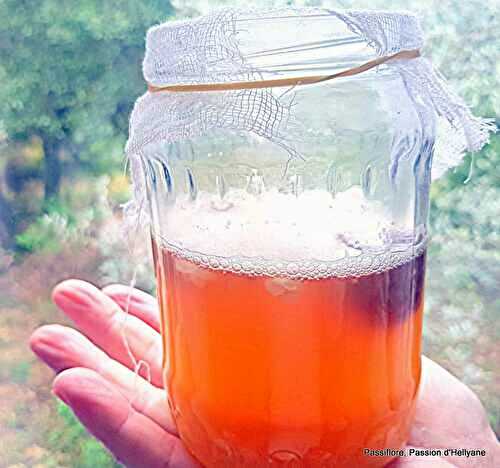 Comment activer les grains de kéfir 