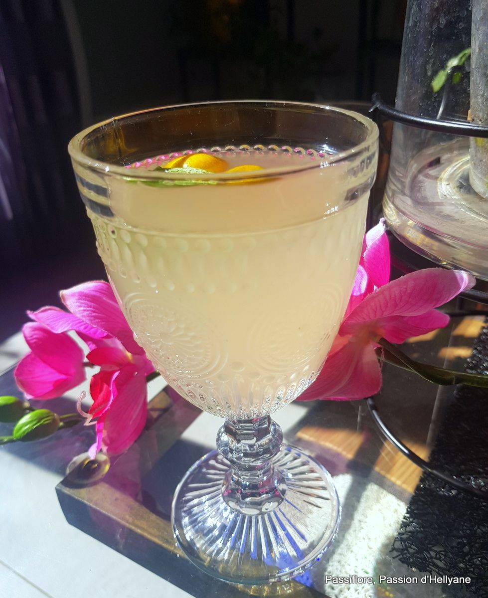 Kéfir boisson naturellement pétillante - simple, agréable