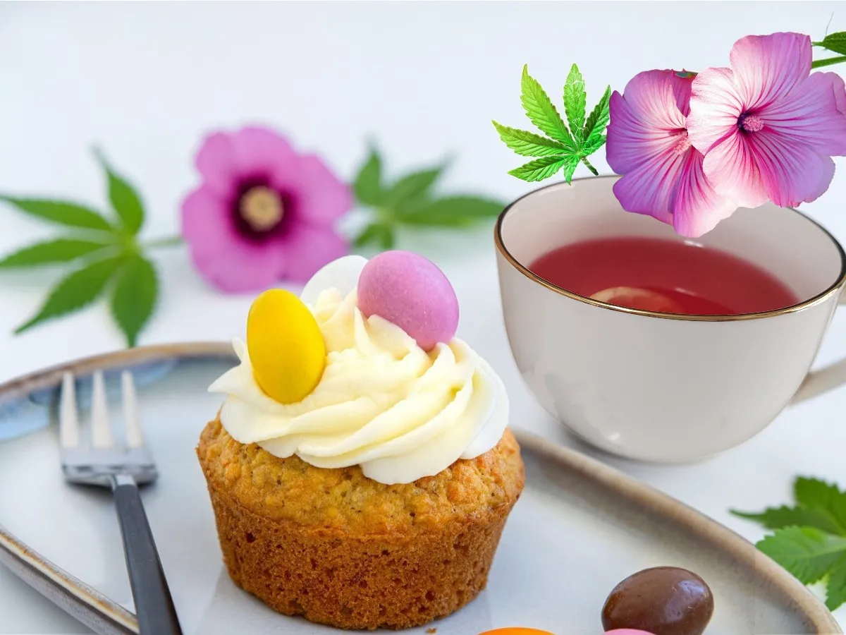 Muffins aux fruits confits/raisin secs 