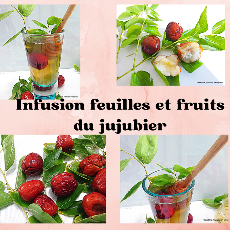 INFUSION DE FEUILLES ET FLEURS DU JUJUBIER -