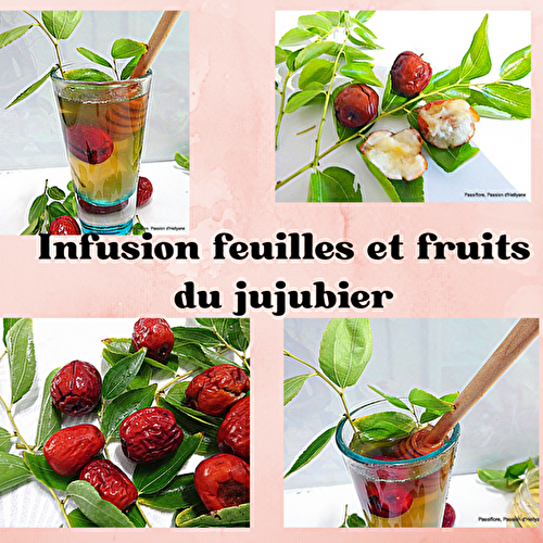 INFUSION DE FEUILLES ET FLEURS DU JUJUBIER - 