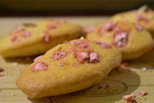 Madeleines aux pralines sans gluten et sans lactose