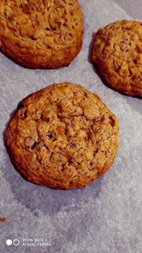 Cookies au raisins secs sans gluten (possible sans lactose)