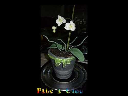 Réaliser un gâteau en forme de pot d'orchidées - Pâte à Clou