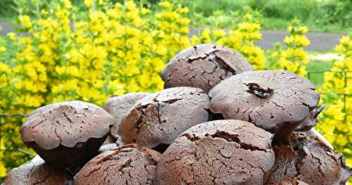Muffins aux chocolat