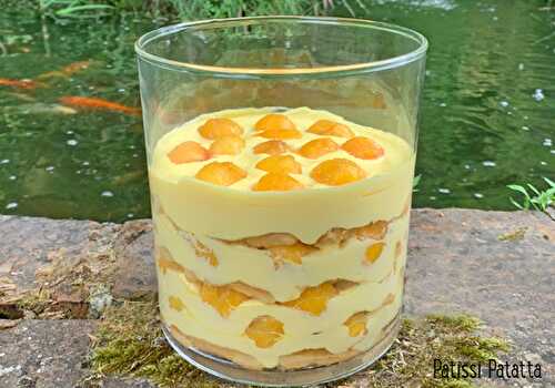 Tiramisu aux nectarines